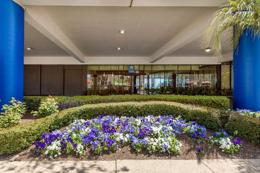 Coastal Hotel & Suites Virginia Beach - Oceanfront Exterior foto